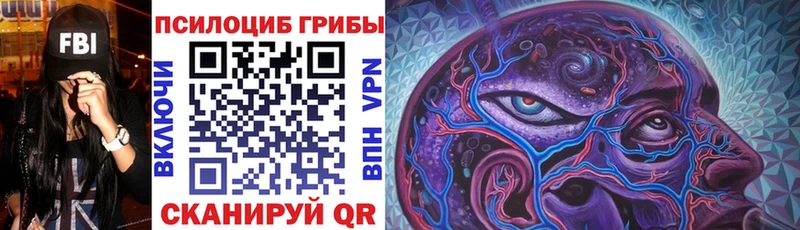 магазин    Зеленодольск  Псилоцибиновые грибы Psilocybine cubensis 